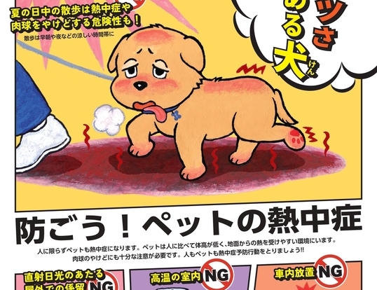 梅雨明け、ペットの熱中症に注意のイメージ